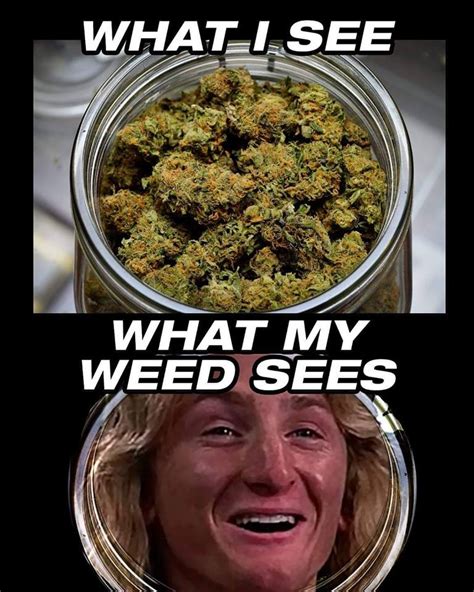 weed memes|funny weed meme pics.